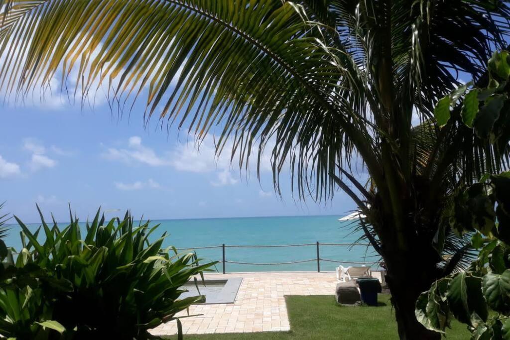 Apartment Flat Encantador Pe Na Areia 2 Suites- Waterfront